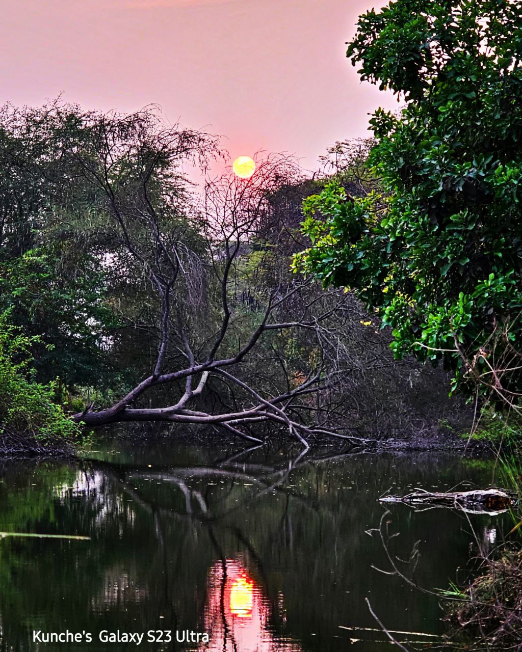 a body of water with trees around it and a sunset in the background